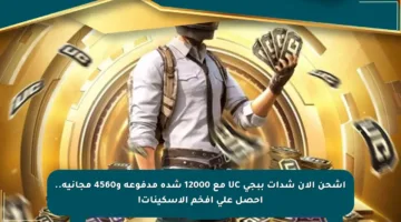 اشحن الآن شدات ببجي UC مع 12000 شدة مدفوعة و4560 مجانية.. احصل على أفخم الإسكينات!